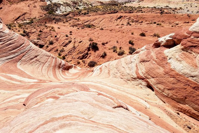 Valley of Fire Guided Hiking Tour From Las Vegas - Water, snacks, and desert planning