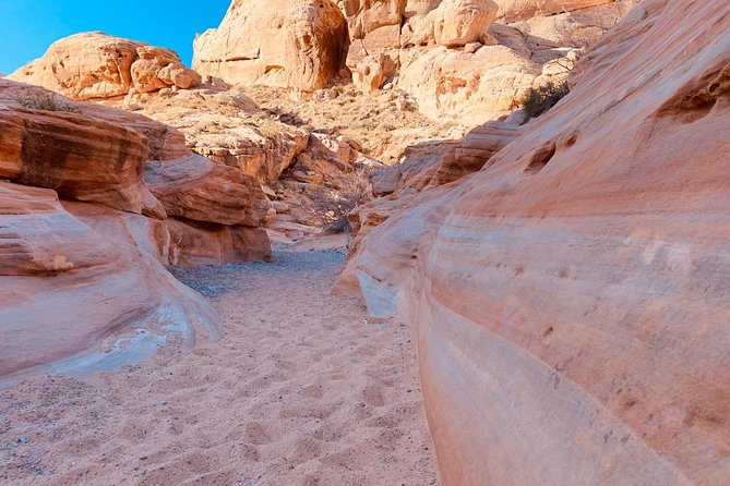 Valley of Fire/ Mojave Desert VIP Small Group Tour From Las Vegas - Key Points to Know Before You Go
