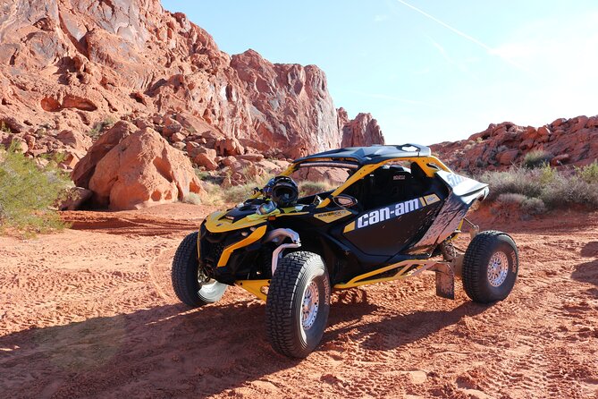 Valley of Fire Ride Along Non Driver UTV Passenger tour Las Vegas - What the guide adds to the ride