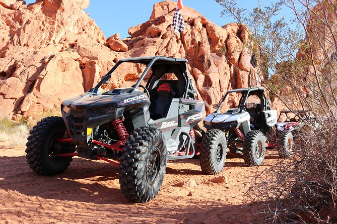 Valley of Fire Single Seater UTV Tour - Leaving Las Vegas for the Mojave Desert