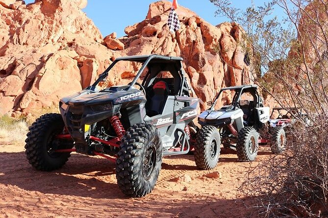 Valley of Fire Single Seater UTV Tour - Lunch, Water, and the Value of the Package