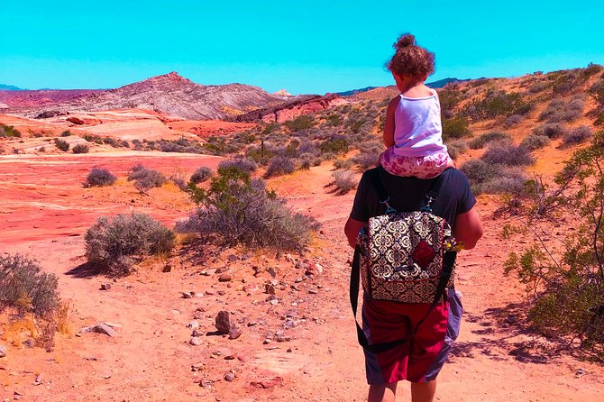 Valley of Fire State Park Day Tour from Las Vegas - Easy paths, short hikes, and desert heat