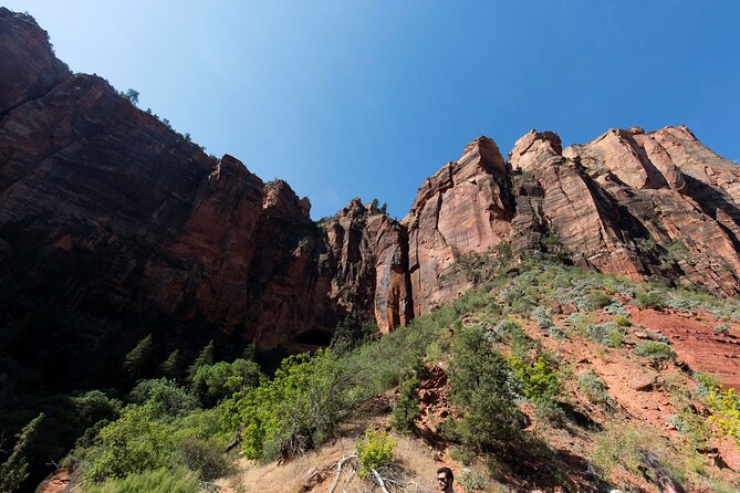 Valley of Fire & Zion Park, 1-Day Tour from Las Vegas - Zion National Park and the Virgin River