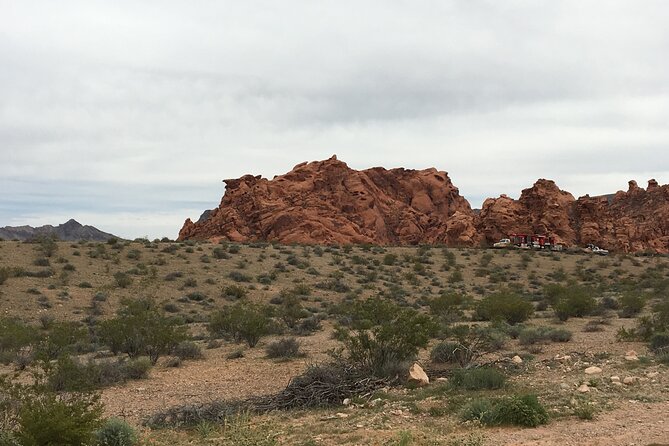 Valley of Fire & Zion Park, 1-Day Tour from Las Vegas - Valley of Fire’s red sandstone and desert light