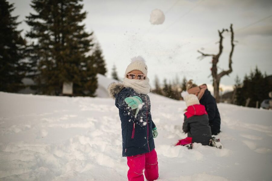 Vegas Winter Adventure: Mt. Charleston Snow Day - A self-guided day, not a guided tour