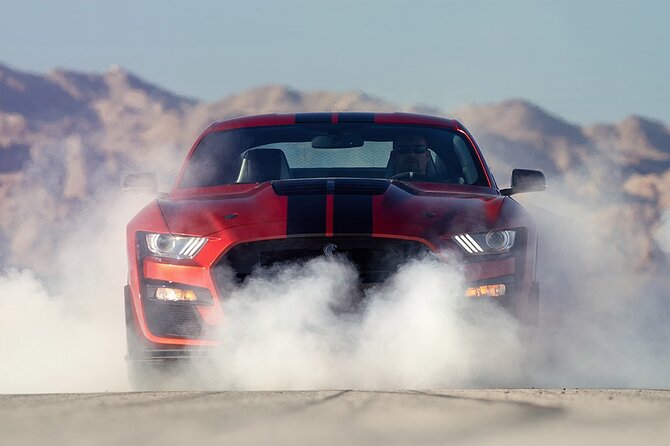 VIP Tour of the Shelby American Experience in Las Vegas - Who will enjoy it most