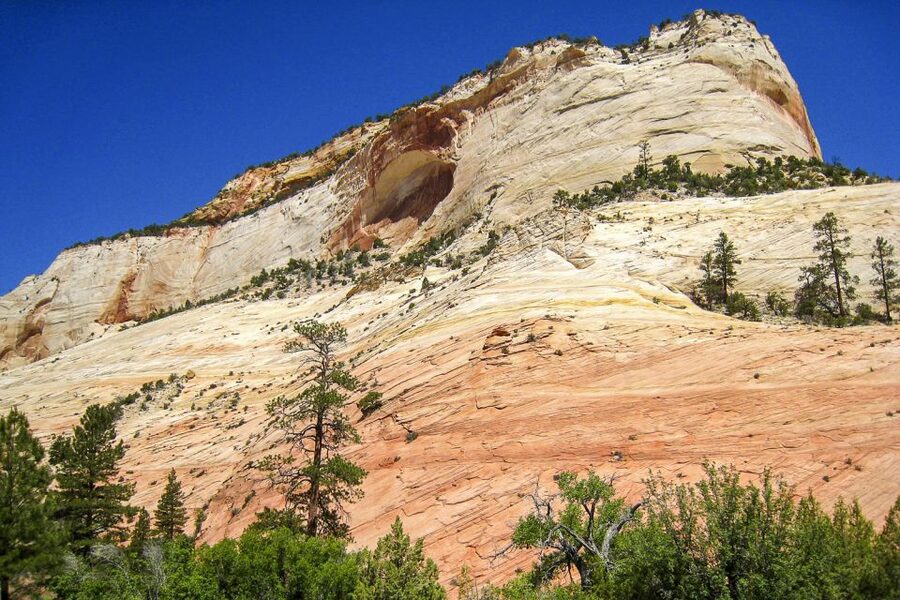 Zion National Park Small Group Adventure from Las Vegas - Why Zion Works as a Las Vegas Day Trip