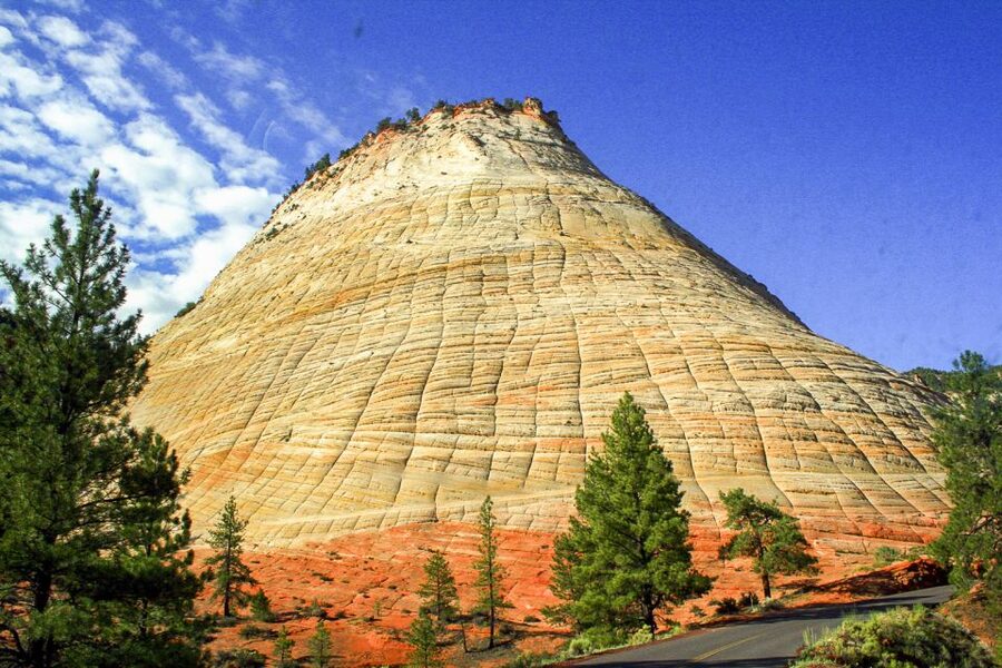 Zion National Park Small Group Adventure from Las Vegas - Wildlife Above and Below the Cliffs