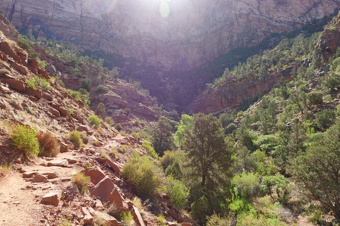 Zion National Park Small Group Tour from Las Vegas - The road through Virgin River Gorge