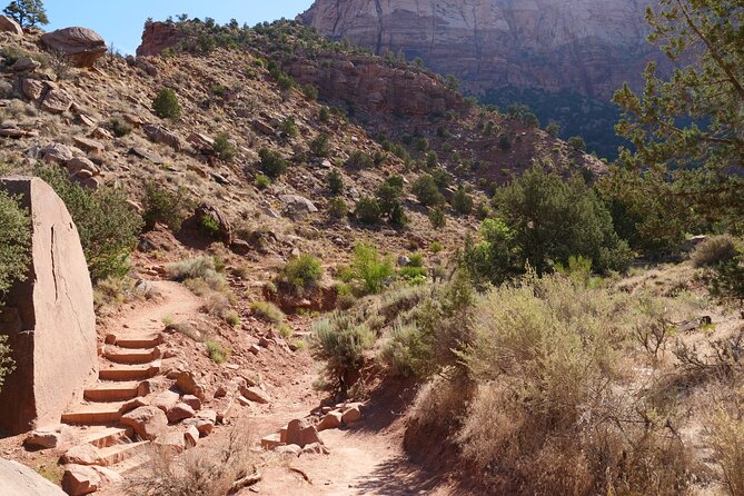 Zion National Park Small Group Tour from Las Vegas - What the guides add to the day
